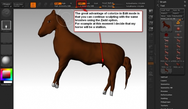 Creation of A colt: Step 19